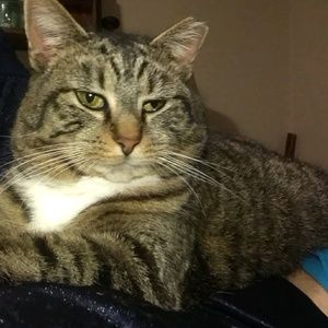 Meet your Posher, Bryan